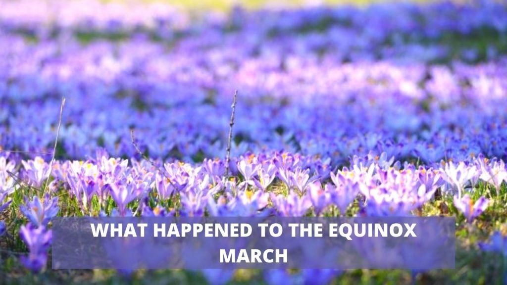 WHAT HAPPENED TO THE QUINOX MARCH