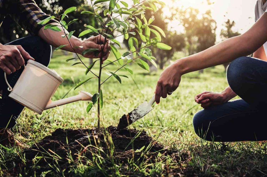 earth day activities