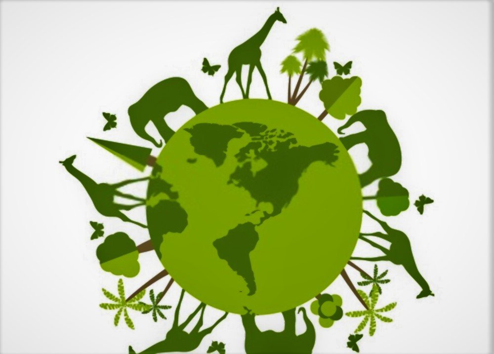 earth day poster of animal wild life 4