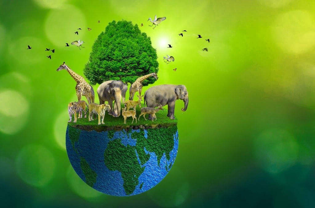 earth day quiz animals 2021