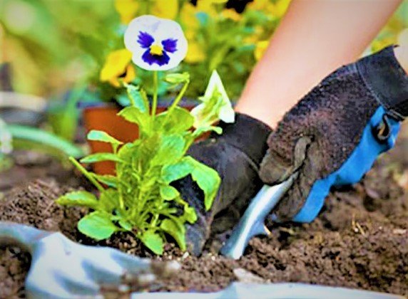 mothers day activities of gardening with mom