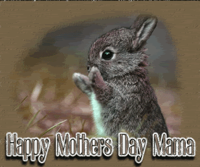 happy mothers day gif1