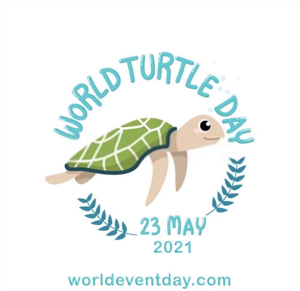 world turtle day