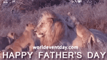 Happy Fathers Day Lion GIF